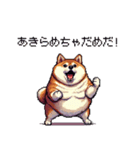 熱血系の太っちょ柴犬（個別スタンプ：7）