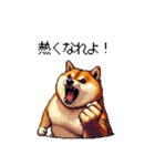 熱血系の太っちょ柴犬（個別スタンプ：8）