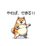 熱血系の太っちょ柴犬（個別スタンプ：9）