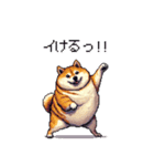 熱血系の太っちょ柴犬（個別スタンプ：10）