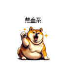 熱血系の太っちょ柴犬（個別スタンプ：12）