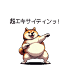 熱血系の太っちょ柴犬（個別スタンプ：15）