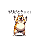 熱血系の太っちょ柴犬（個別スタンプ：16）