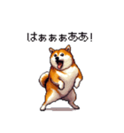 熱血系の太っちょ柴犬（個別スタンプ：20）