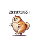 熱血系の太っちょ柴犬（個別スタンプ：21）