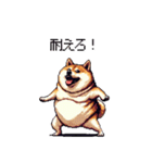 熱血系の太っちょ柴犬（個別スタンプ：27）