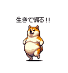 熱血系の太っちょ柴犬（個別スタンプ：28）