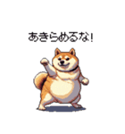 熱血系の太っちょ柴犬（個別スタンプ：29）