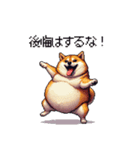 熱血系の太っちょ柴犬（個別スタンプ：35）
