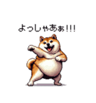 熱血系の太っちょ柴犬（個別スタンプ：36）