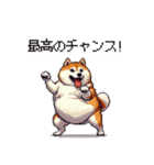 熱血系の太っちょ柴犬（個別スタンプ：40）