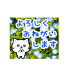 動く☆大人やさしい野の花とネコ（個別スタンプ：5）