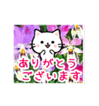 動く☆大人やさしい野の花とネコ（個別スタンプ：10）