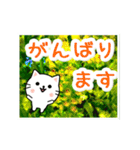 動く☆大人やさしい野の花とネコ（個別スタンプ：14）