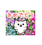 動く☆大人やさしい野の花とネコ（個別スタンプ：18）