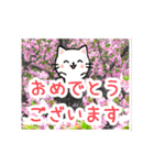 動く☆大人やさしい野の花とネコ（個別スタンプ：19）