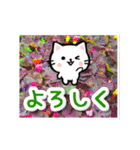 動く☆大人やさしい野の花とネコ（個別スタンプ：20）