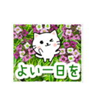 動く☆大人やさしい野の花とネコ（個別スタンプ：22）