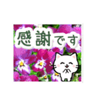動く☆大人やさしい野の花とネコ（個別スタンプ：23）