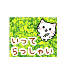 動く☆大人やさしい野の花とネコ（個別スタンプ：24）