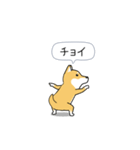 激しく尻尾をふる柴犬❤ネガティブ篇（個別スタンプ：1）
