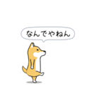 激しく尻尾をふる柴犬❤ネガティブ篇（個別スタンプ：9）