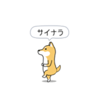 激しく尻尾をふる柴犬❤ネガティブ篇（個別スタンプ：12）