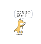 激しく尻尾をふる柴犬❤ネガティブ篇（個別スタンプ：13）