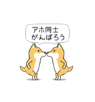 激しく尻尾をふる柴犬❤ネガティブ篇（個別スタンプ：16）