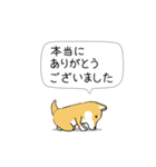 激しく尻尾をふる柴犬❤ネガティブ篇（個別スタンプ：19）