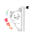 鹿楓堂よついろ日和（第2弾）（個別スタンプ：19）