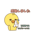 そばかすぴよこ 11（個別スタンプ：31）