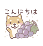 やさしい秋★柴犬しばちゃん（個別スタンプ：2）