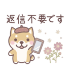やさしい秋★柴犬しばちゃん（個別スタンプ：6）