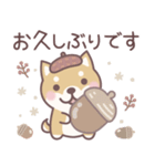 やさしい秋★柴犬しばちゃん（個別スタンプ：7）