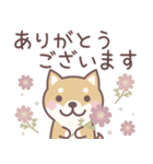 やさしい秋★柴犬しばちゃん（個別スタンプ：13）