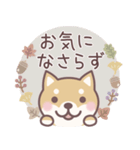 やさしい秋★柴犬しばちゃん（個別スタンプ：18）