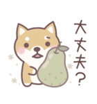やさしい秋★柴犬しばちゃん（個別スタンプ：22）
