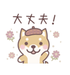 やさしい秋★柴犬しばちゃん（個別スタンプ：23）