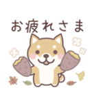 やさしい秋★柴犬しばちゃん（個別スタンプ：24）