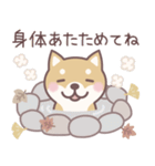 やさしい秋★柴犬しばちゃん（個別スタンプ：27）