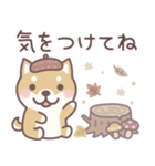 やさしい秋★柴犬しばちゃん（個別スタンプ：29）