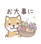 やさしい秋★柴犬しばちゃん（個別スタンプ：31）