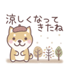 やさしい秋★柴犬しばちゃん（個別スタンプ：33）