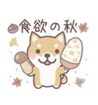 やさしい秋★柴犬しばちゃん（個別スタンプ：35）