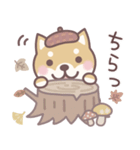 やさしい秋★柴犬しばちゃん（個別スタンプ：36）