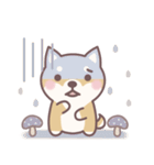 やさしい秋★柴犬しばちゃん（個別スタンプ：39）