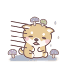 やさしい秋★柴犬しばちゃん（個別スタンプ：40）