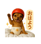ヘルメットおむつチワワ（個別スタンプ：3）