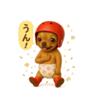 ヘルメットおむつチワワ（個別スタンプ：23）
